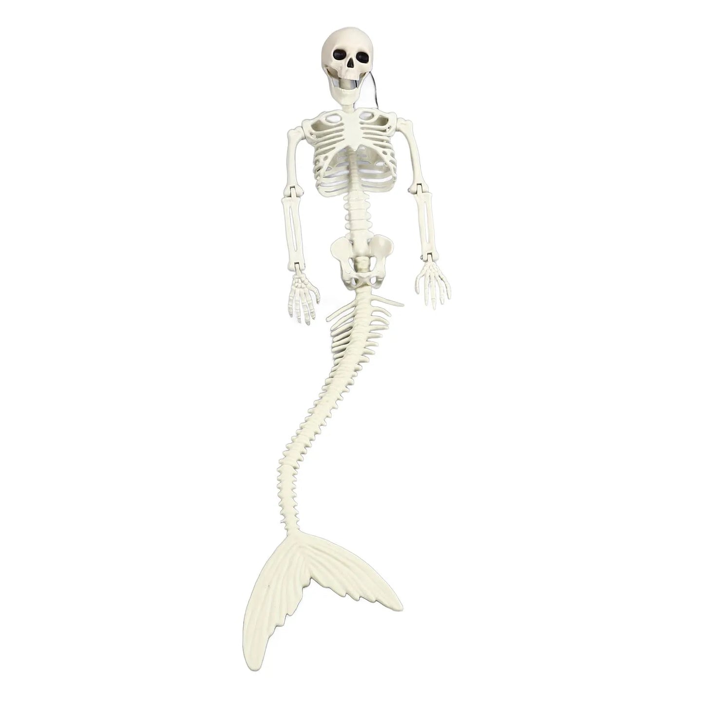 Skeleton Decorations Halloween Skeleton Thrilling Movable Joints Decorative Life Size for Patio