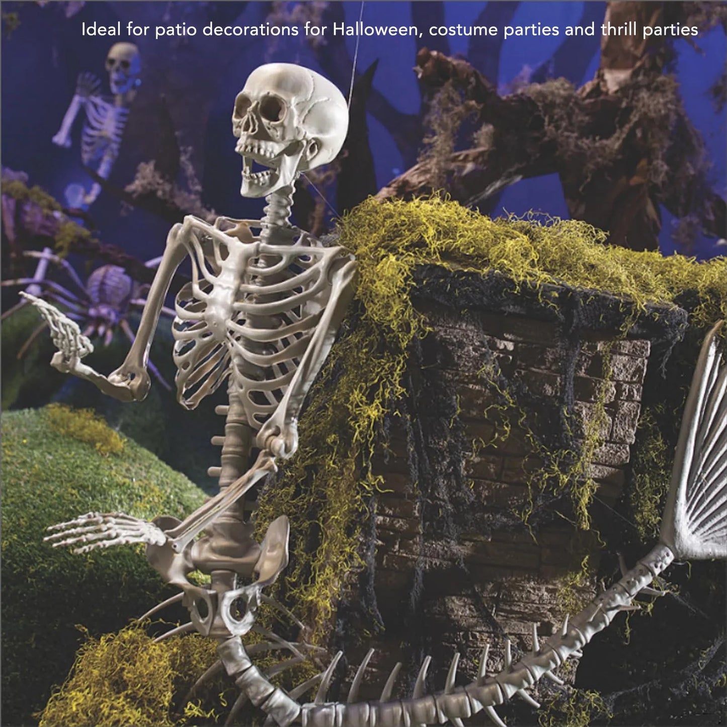 Skeleton Decorations Halloween Skeleton Thrilling Movable Joints Decorative Life Size for Patio