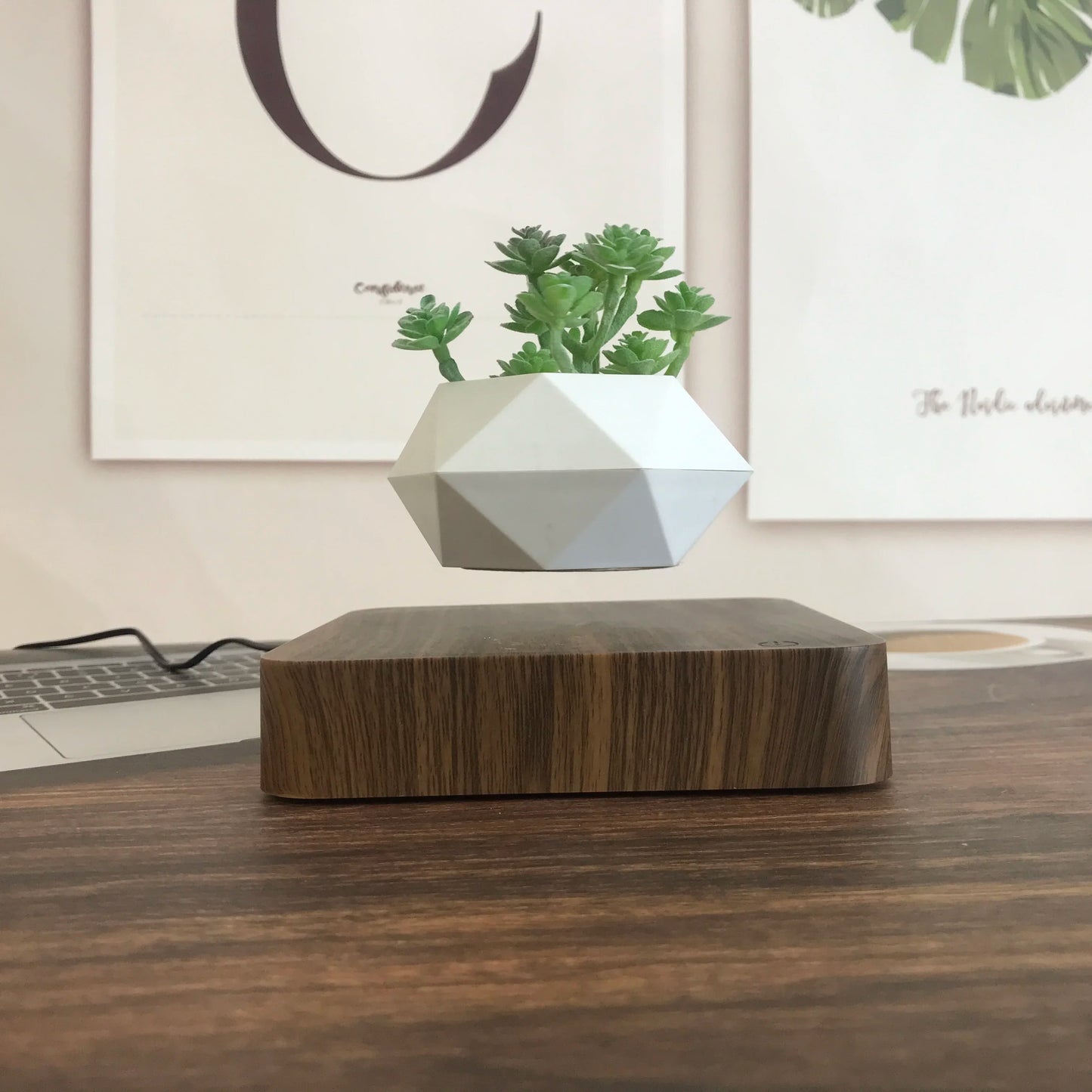 Levitating Plant Pot Rotating Floating Pot Creative and Unique Gifts Bonsai Potted Home Decoration