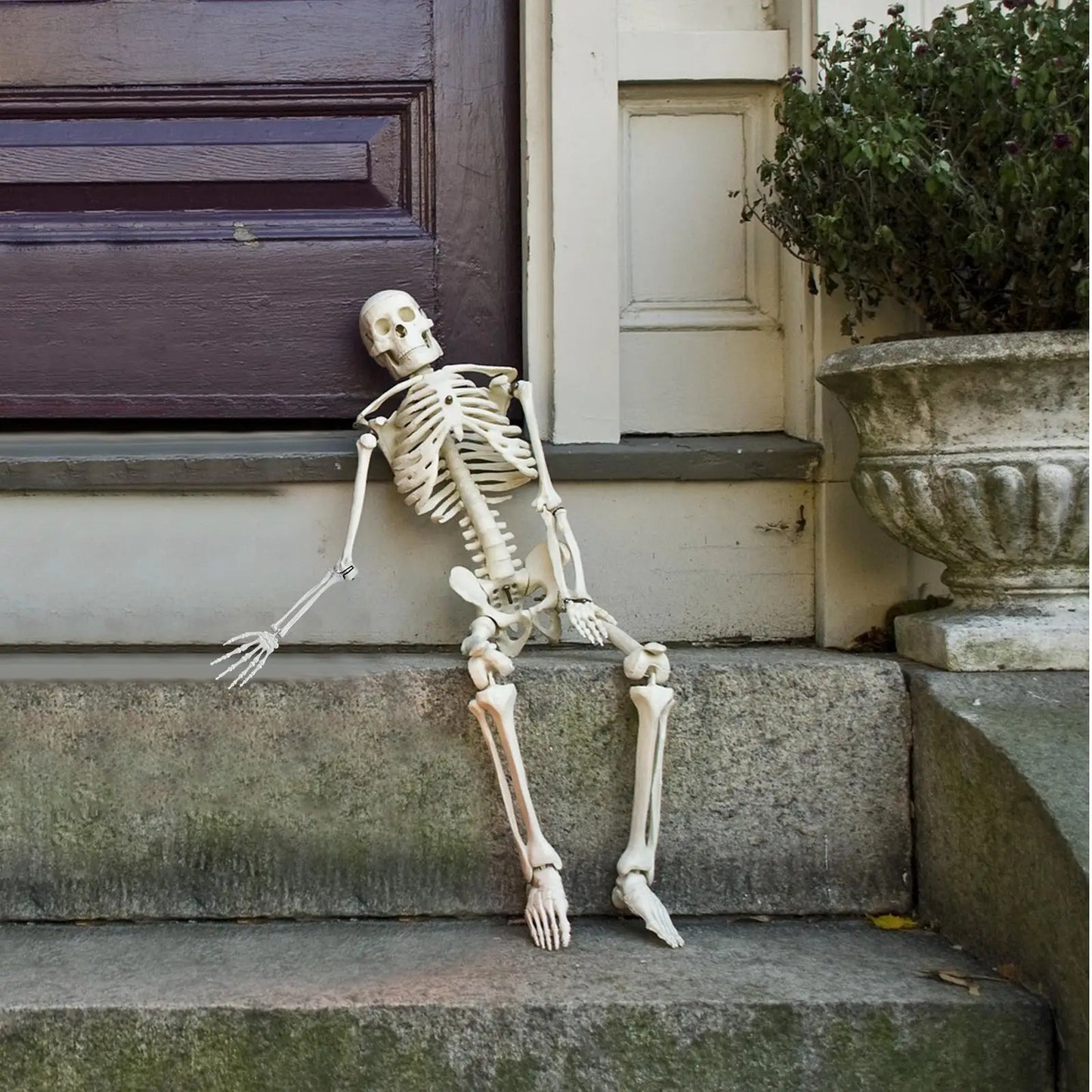 165cm Realistic Plastic Halloween Skeleton Decoration Adjustable Joints Can be Suspended from Ceiling for Halloween or Prank The