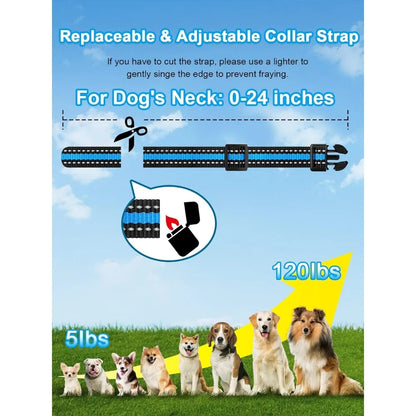 Dog Shock Collar 2 Dogs -  Waterproof Training Collar for Dogs Large Medium Small with Rechargeable Remote,Electric Collars