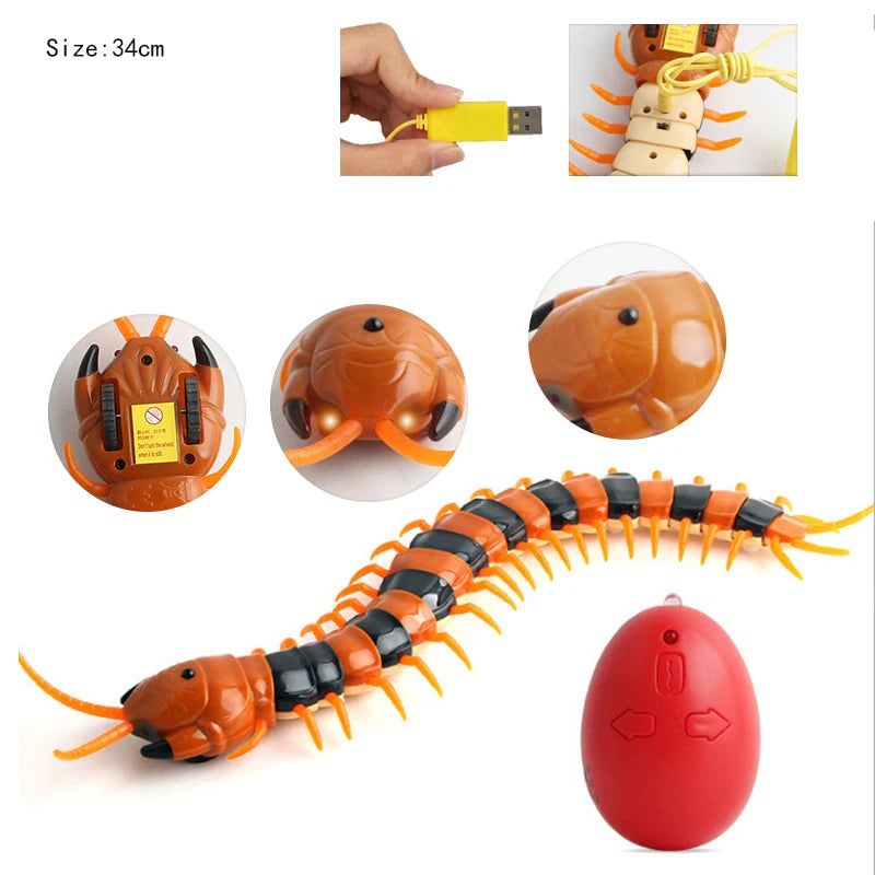 RC Snake Toys for Kids Novelty Gag Adult Halloween Pranks Girl Child Funny Gift Remote Control Animal Spider Electric Toy Robots