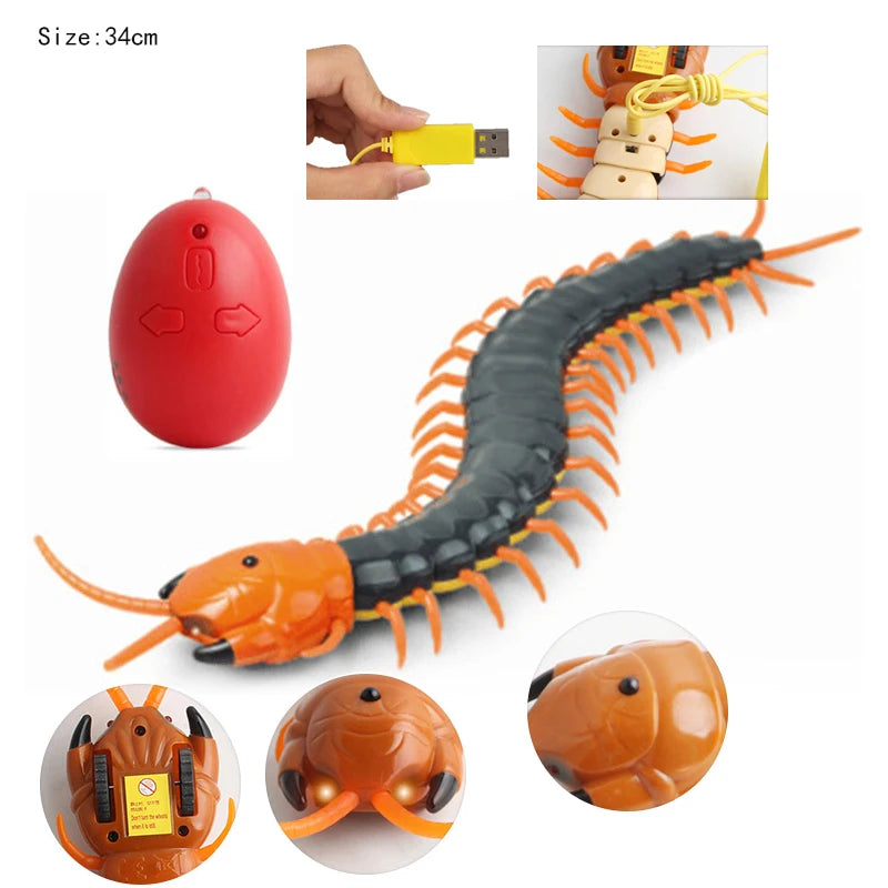 RC Snake Toys for Kids Novelty Gag Adult Halloween Pranks Girl Child Funny Gift Remote Control Animal Spider Electric Toy Robots