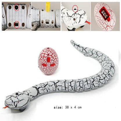 RC Snake Toys for Kids Novelty Gag Adult Halloween Pranks Girl Child Funny Gift Remote Control Animal Spider Electric Toy Robots